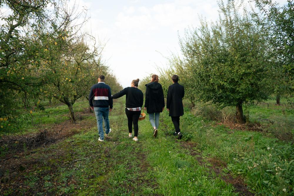 cuatro jovenes de espalda, una con un cesto de mimbre en la mano, andando por un campo de endrinos